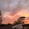 tayler_rain